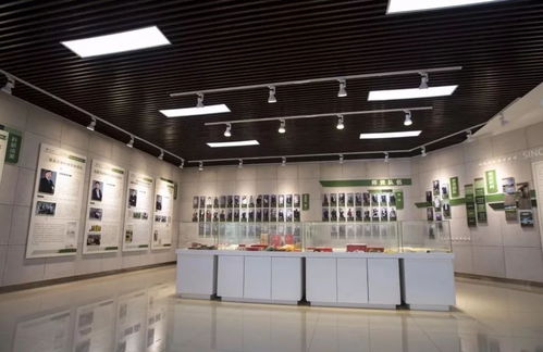 成都大学服务育人项目 模特服务推动高校思政工作新探索