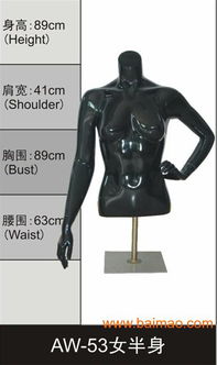 专业女半身展示模特，金得利模特厂的品质首选与实惠价格